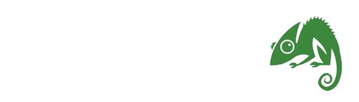 ian bevis consulting