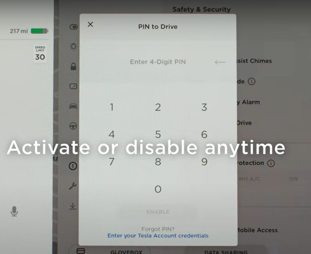 Tesla Activate PIN to Drive